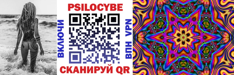 наркошоп  Тотьма  Псилоцибиновые грибы Psilocybe 